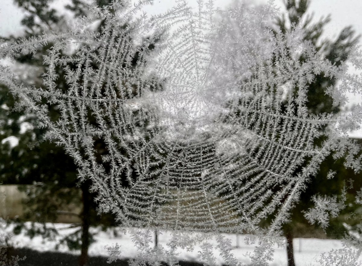 Quand vos entretiens de fin d'année ne servent à rien